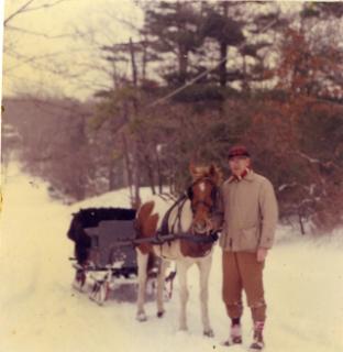 Snowy winter scene-- man guiding a horse pulling a sleigh