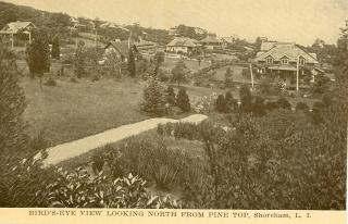Looking down from a grassy hilltop to a development of old houses of different styles in the early 1900's